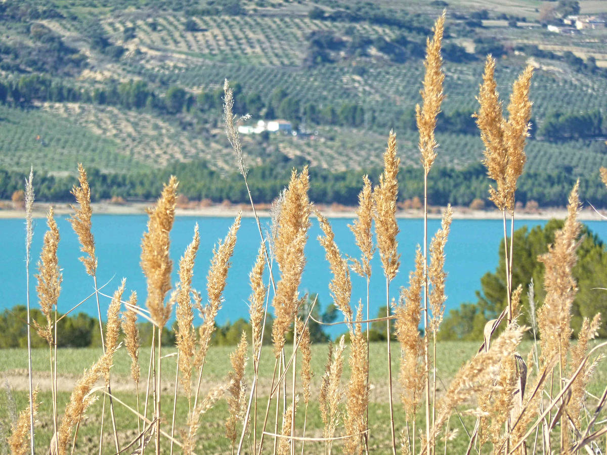 andalusien_02