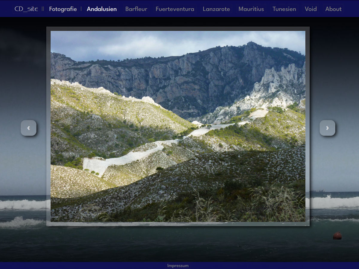 cd_site_03
